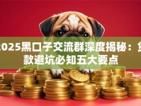 2025黑口子交流群深度揭秘：贷款避坑必知五大要点