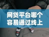 网贷平台哪个容易通过线上贷款？选对渠道轻松下款攻略