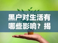 黑户对生活有哪些影响？揭秘贷款难题背后的信用代价