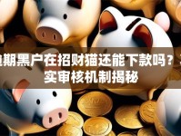 逾期黑户在招财猫还能下款吗？真实审核机制揭秘