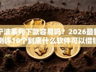 宁波系列下款容易吗？2026最新测评10个到底什么软件可以借钱黑户