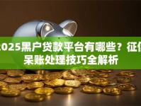 2025黑户贷款平台有哪些？征信呆账处理技巧全解析