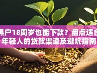 黑户18周岁也能下款？盘点适合年轻人的贷款渠道及避坑指南