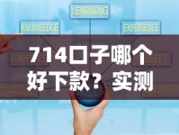 714口子哪个好下款？实测通过率高的平台盘点