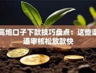 高炮口子下款技巧盘点：这些渠道审核松放款快