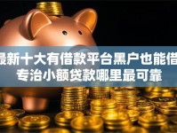 最新十大有借款平台黑户也能借，专治小额贷款哪里最可靠