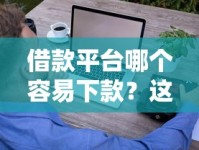 借款平台哪个容易下款？这些审核快的小技巧要收好