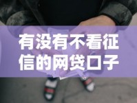 有没有不看征信的网贷口子？揭秘真实可靠的借款渠道！