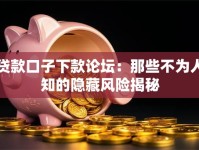 贷款口子下款论坛：那些不为人知的隐藏风险揭秘