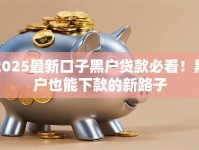 2025最新口子黑户贷款必看！黑户也能下款的新路子