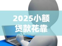 2025小额贷款花靠谱吗？实测后告诉你答案！
