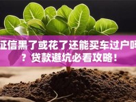 征信黑了或花了还能买车过户吗？贷款避坑必看攻略！