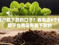 黑户能下款的口子？看看这6个贷款平台有没有能下款的