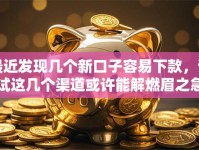 最近发现几个新口子容易下款，试试这几个渠道或许能解燃眉之急