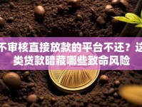 不审核直接放款的平台不还？这类贷款暗藏哪些致命风险