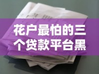 花户最怕的三个贷款平台黑名单，借钱前必看的避坑指南