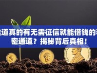 难道真的有无需征信就能借钱的秘密通道？揭秘背后真相！