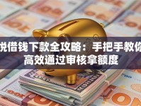 悦借钱下款全攻略：手把手教你高效通过审核拿额度