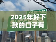 2025年好下款的口子有哪些？这几个渠道值得一试！