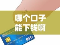 哪个口子能下钱啊？5个靠谱渠道手把手教你选