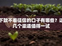 下款不看征信的口子有哪些？这几个渠道值得一试