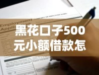 黑花口子500元小额借款怎么申请？这些注意事项得提前了解！