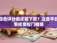 综合评分低还能下款？这些平台审核宽松门槛低