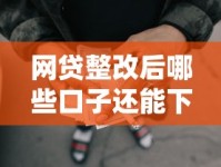 网贷整改后哪些口子还能下款？实测靠谱渠道推荐