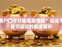 黑户口子在哪里能借款？征信不良可尝试的渠道解析