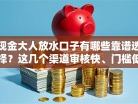现金大人放水口子有哪些靠谱选择？这几个渠道审核快、门槛低！