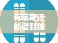 有逾期还能借到钱的平台吗？这5个真实案例解析！