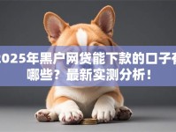 2025年黑户网贷能下款的口子有哪些？最新实测分析！