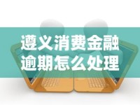 遵义消费金融逾期怎么处理最快？必看3步解决攻略