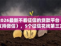 2026最新不看征信的贷款平台（支持微信），5个征信花找第三方担保贷款平台无私分享