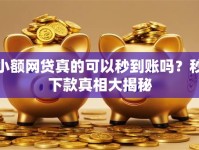 小额网贷真的可以秒到账吗？秒下款真相大揭秘
