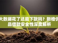 大数据花了还能下款吗？新橙优品借款安全性深度解析