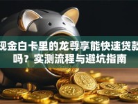 现金白卡里的龙尊享能快速贷款吗？实测流程与避坑指南