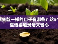 跟贷款一样的口子有哪些？这5个靠谱渠道灵活又省心
