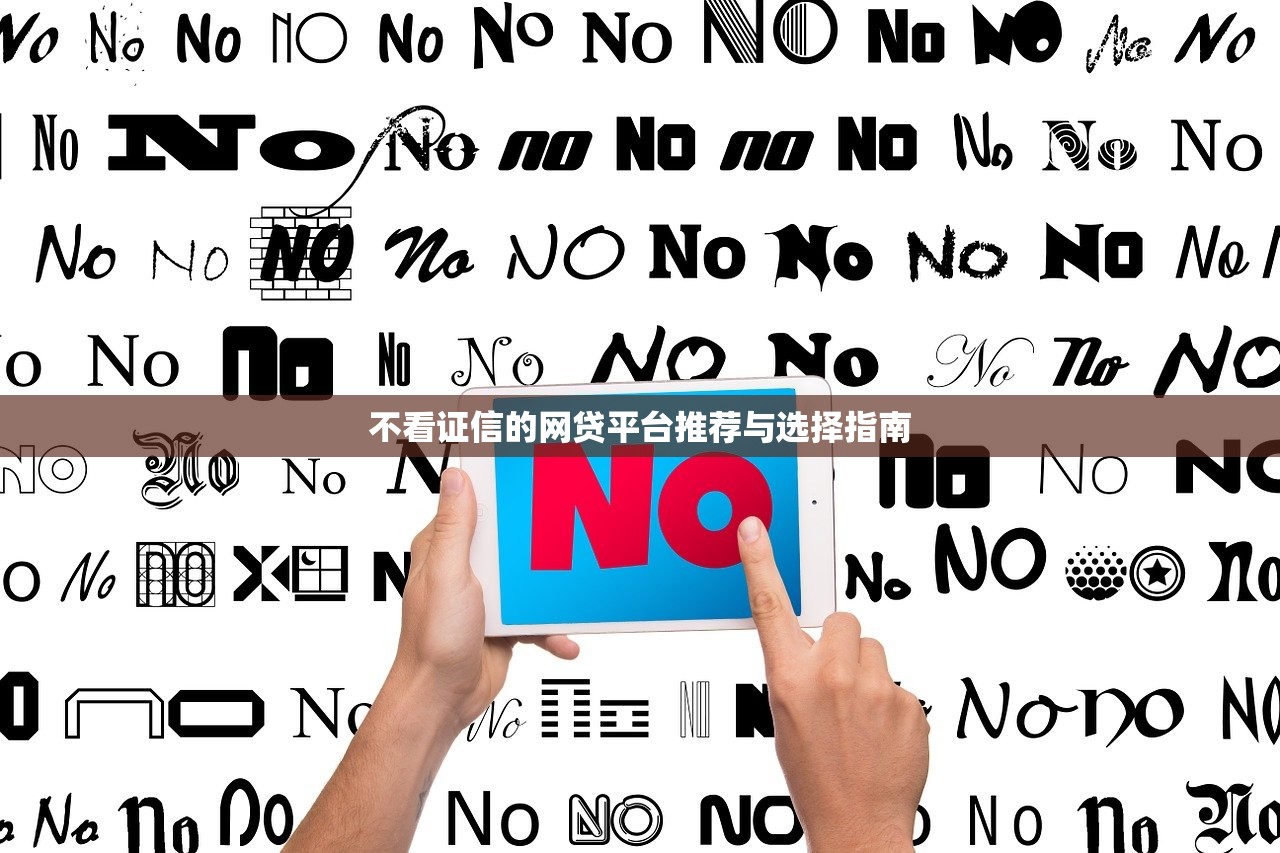 不看证信的网贷平台推荐与选择指南