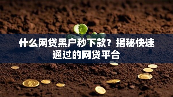 什么网贷黑户秒下款？揭秘快速通过的网贷平台