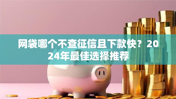 网袋哪个不查征信且下款快？2024年最佳选择推荐