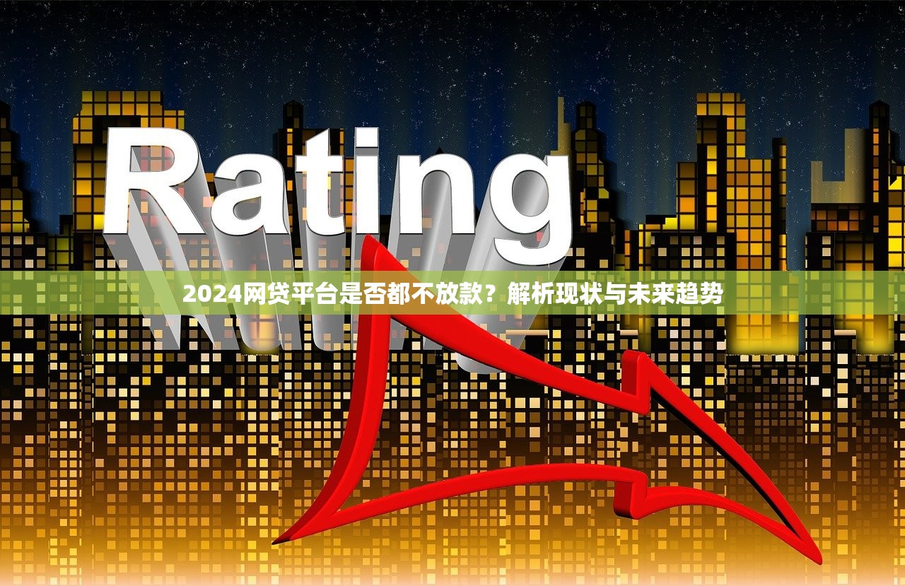 2024网贷平台是否都不放款？解析现状与未来趋势