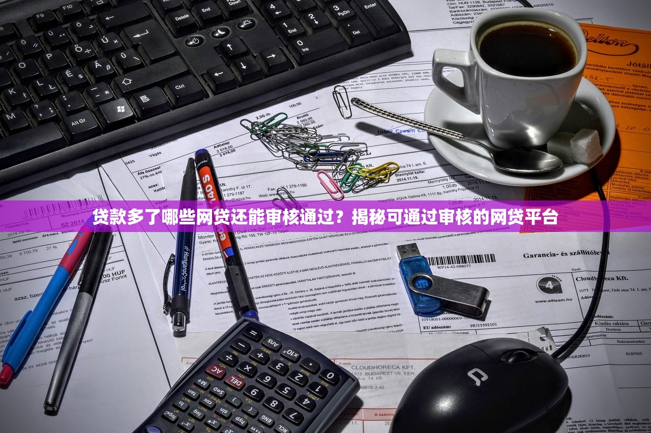 贷款多了哪些网贷还能审核通过？揭秘可通过审核的网贷平台