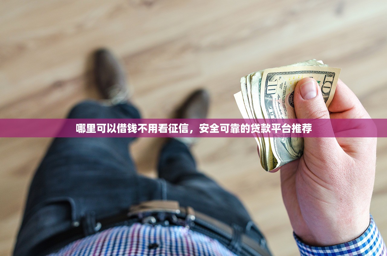 哪里可以借钱不用看征信，安全可靠的贷款平台推荐