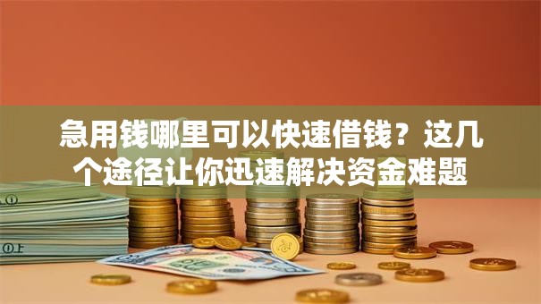 急用钱哪里可以快速借钱？这几个途径让你迅速解决资金难题