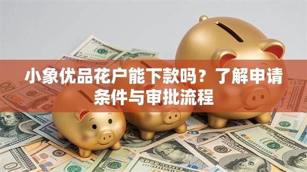 小象优品花户能下款吗？了解申请条件与审批流程
