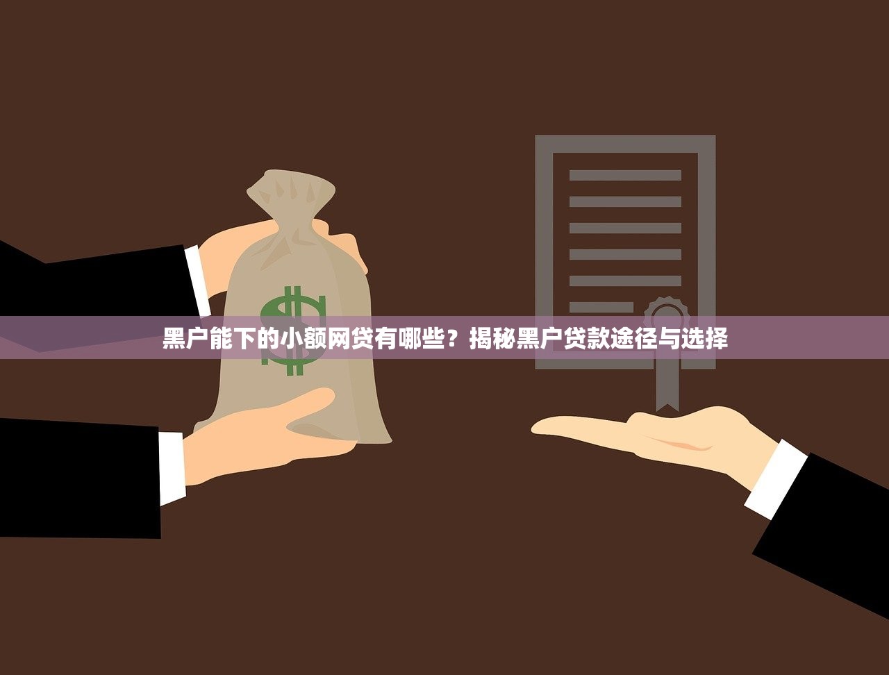 黑户能下的小额网贷有哪些？揭秘黑户贷款途径与选择