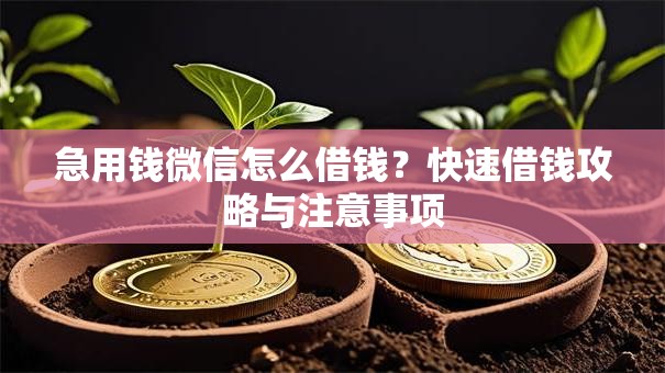 急用钱微信怎么借钱？快速借钱攻略与注意事项