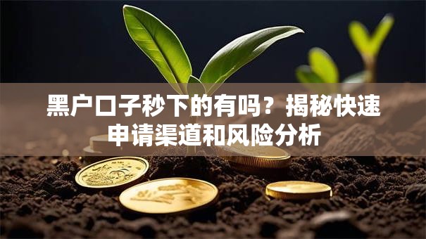 黑户口子秒下的有吗？揭秘快速申请渠道和风险分析