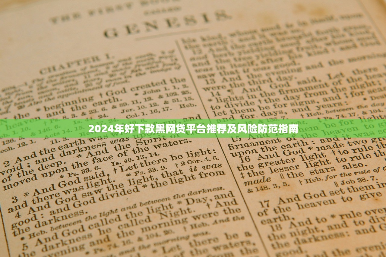 2024年好下款黑网贷平台推荐及风险防范指南
